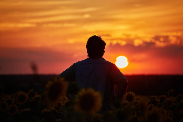 Silhouet van gelukkige succesvolle maïsboer in maïsveld bij zonsondergang met opgeheven armen in de lucht, zelfverzekerde landarbeider verwacht een goede oogst - Foto, afbeelding
