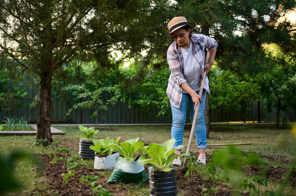Hardworking female farmer loosens the ground next to planted tomato seedlings. Salads grows in pots on foreground. Horticulture, agriculture, gardening, agribusiness, growing organic vegetables. - Photo, Image