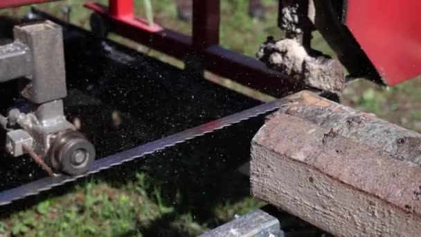 Short video shot close up to the moving blade of a heavy duty band sawmill with flying sawdust, squaring off pine tree trunks to produce slats. - Séquence, vidéo
