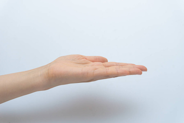Finger gestures in various actions on a white background - Foto, Imagem