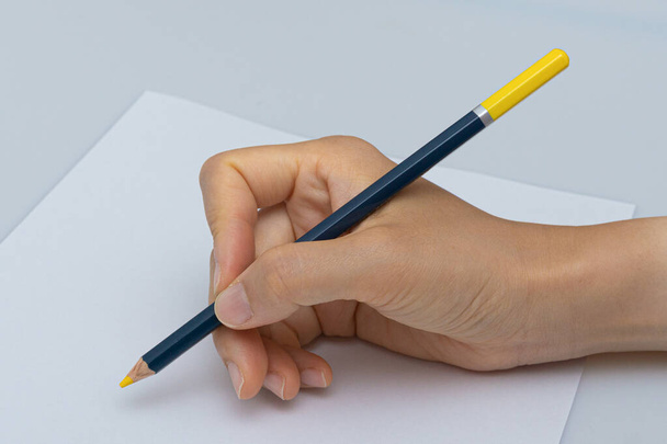 Varie matite colorate su sfondo bianco
 - Foto, immagini