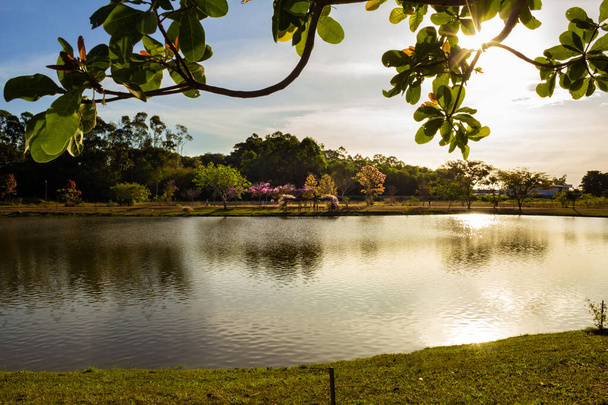 Een landschap met een meer verlicht door de late middagzon en met veel bomen eromheen. Park Leoldio di Ramos Caiado, in de stad Goinia. - Foto, afbeelding