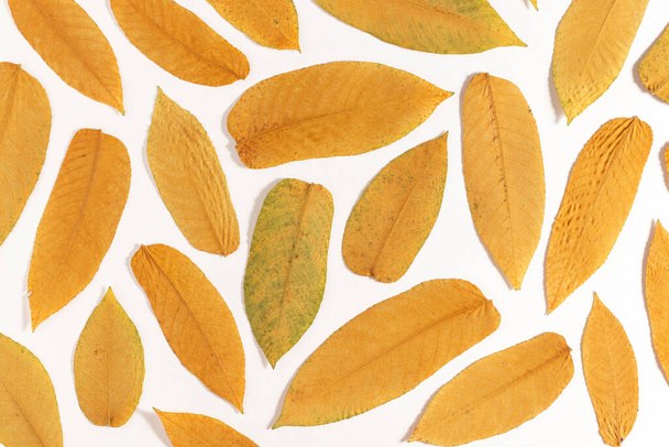 Autumn yellow dry leaves background. Flat lay. - Фото, изображение