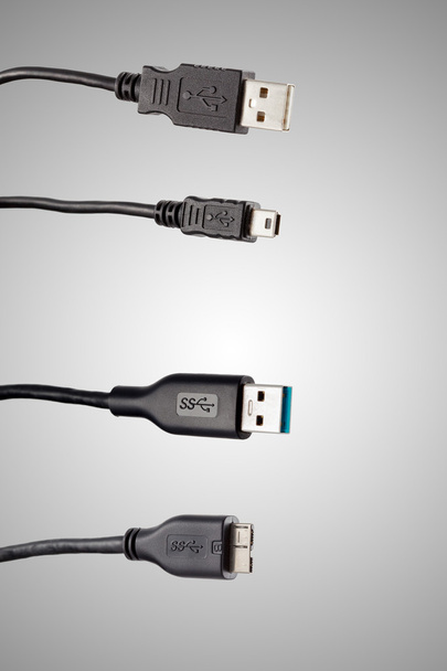 Porta di connettività USB nera
 - Foto, immagini