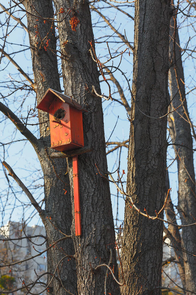Casa de pájaros en el árbol. Nido de madera para pájaros  - Foto, imagen