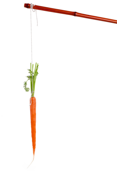 Dangling carrot - Photo, Image