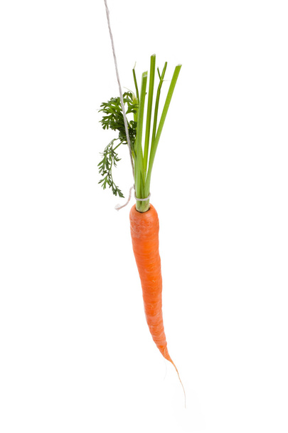 Dangling carrot - Fotoğraf, Görsel