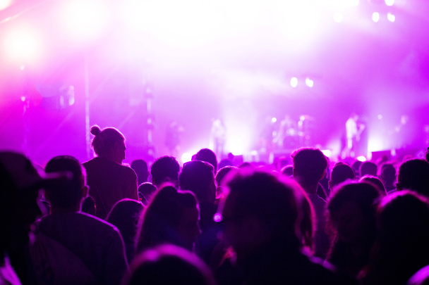 Konserdeki kalabalık - Yaz müzik festivali - Fotoğraf, Görsel