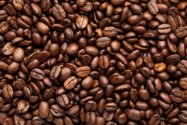 Grano de café
 - Foto, imagen