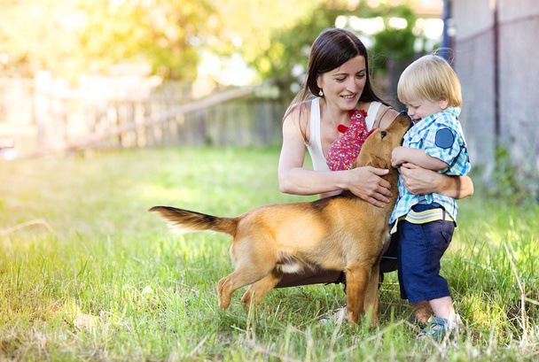 Mother and son playing with dog - 写真・画像