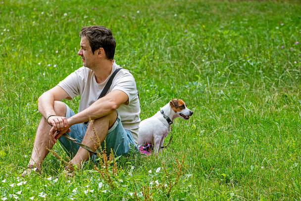 счастливый джек-рассел-терьер, сидящий рядом с хозяином на траве в солнечный день,  - Фото, изображение