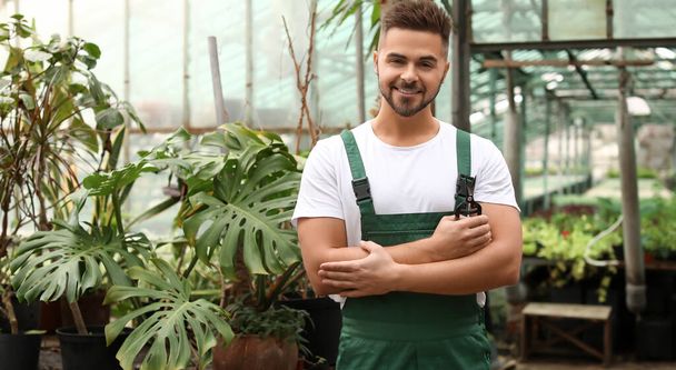 Young male gardener in greenhouse - Zdjęcie, obraz