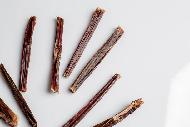 Natural dried treats for dogs. Treats for rewarding and training dogs. Dried meat products for dogs. Animal care.Selective focus. Advertisement for dog treats. bull penis. - 写真・画像
