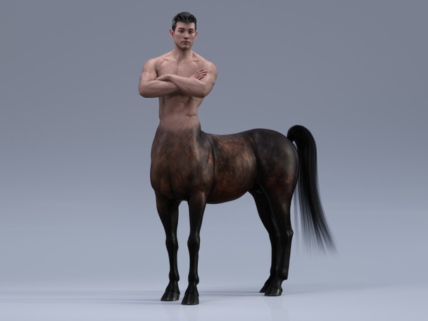 3D Rendering: Een portret van de knappe man centaur poseert zijn lichaam met de studio achtergrond - Foto, afbeelding
