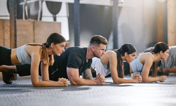 Diverse group of fit people doing bodyweight plank hold exercises together in a gym. Focused athletes training to build muscle, enhance upper body, strengthen core and increase endurance for workout - 写真・画像