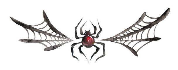 Watercolor spider and spiderweb illustration. Painted isolated Halloween elements on white background - Photo, image