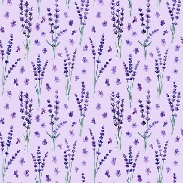 Violet Lavender flowers seamless pattern. Watercolor hand drawing botanical illustration. . High quality illustration - 写真・画像