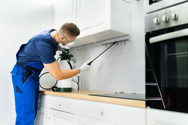 Pest Control Worker Spraying Insecticide In Domestic Kitchen - Valokuva, kuva
