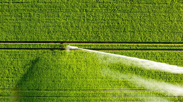 Воздушный обзор с помощью беспилотника фермерского поля, орошаемого гигантской и мощной системой орошения. Высокое качество фото - Фото, изображение