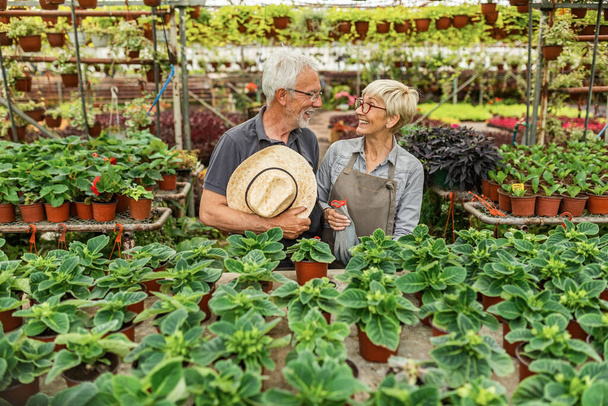 Happy senior couple taking care of flowers in plant nursery and talking to each other.  - Photo, Image
