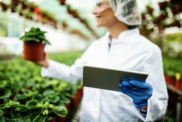 Close-up of scientist using touchpad in plant nursery. - Foto, afbeelding