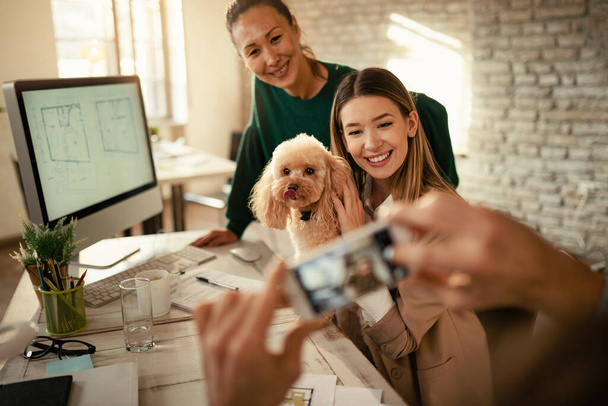 Two happy creative women and their poodle being photographed in the office.  - Foto, Imagen