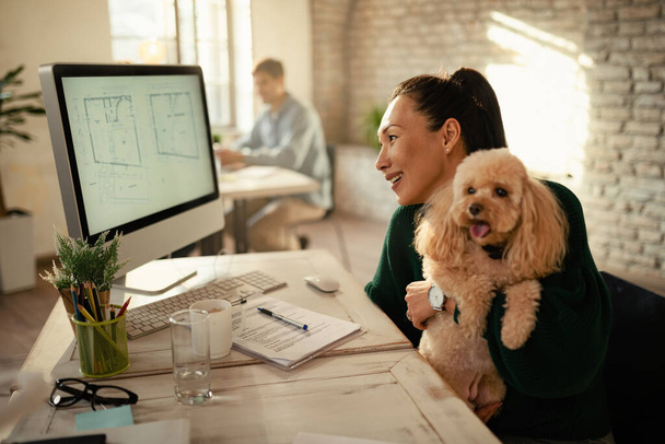 Asian female freelance worker with a poodle reading plans on a computer in the office.  - Foto, Imagen