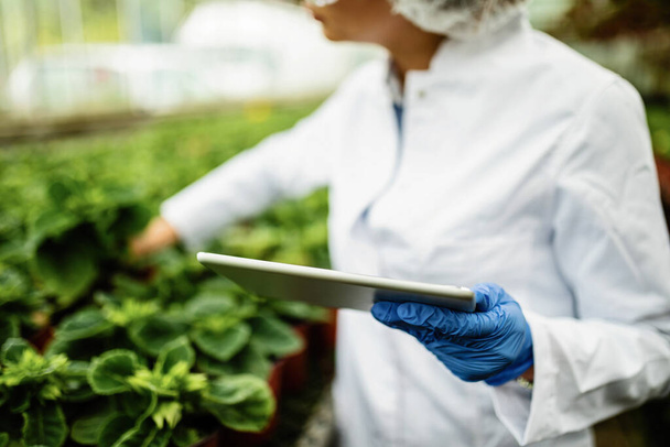 Close-up of biologist using digital tablet while working in a greenhouse.  - Foto, immagini