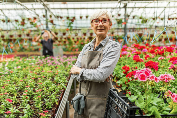 Portrait of happy mature woman standing with arms crossed in plant nursery and looking at camera.  - Foto, Bild