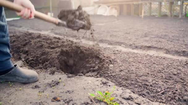 Umgraben eines kleinen ländlichen Gemüsegartens mit einer Schaufel. Hochwertiges 4k Filmmaterial - Filmmaterial, Video