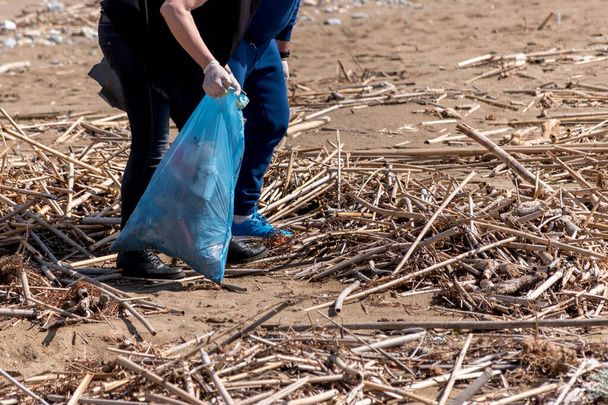 Volunteer collecting trash on the beach. Environment concept. - Zdjęcie, obraz