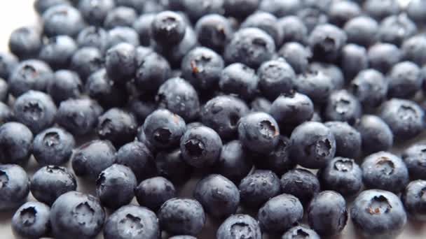 Pile of ripe juicy blueberry. Fresh berries. - Imágenes, Vídeo