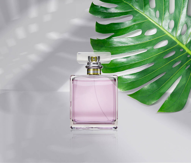 perfume bottle product advertisement, with monstera leaf background. 3d render - Photo, Image
