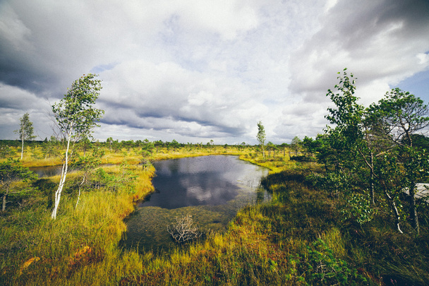 Вид на болота з озерами та пішохідною стежкою. Ретро-сіра плівка дивитися
. - Фото, зображення