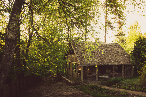 Starý vinobraní dřevěný saunový dům venku bez lidí v zelené přírodě venku - Fotografie, Obrázek