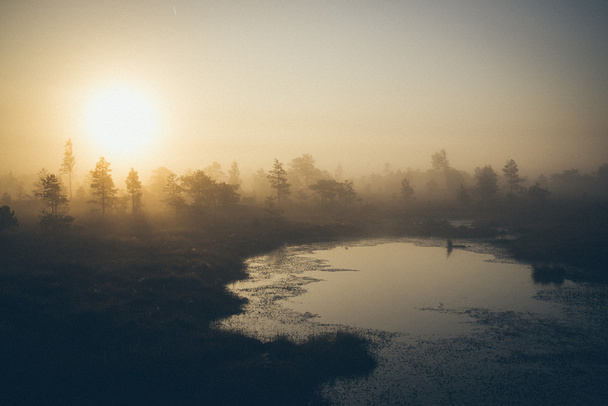 霧の沼湖の美しい静かな風景。粒子の粗いとレトロなファンタジーボールゲーム - 写真・画像