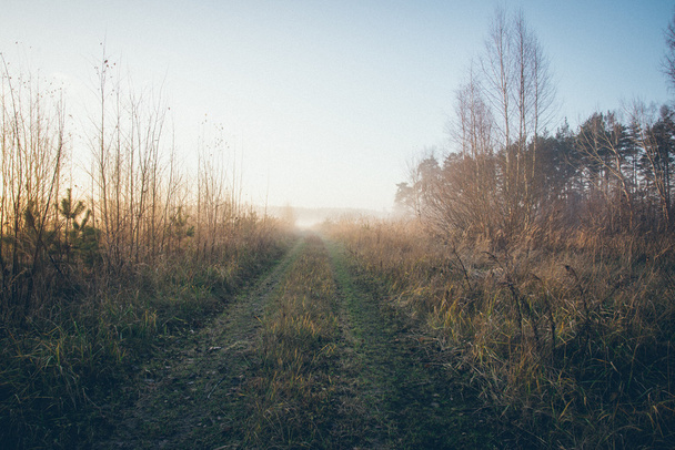 朝霜の美しい霧の草原。レトロな粒子の粗いフィルム l - 写真・画像