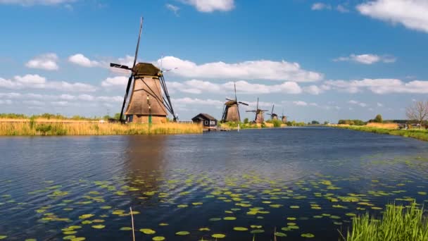 The windmills at Kinderdijk are a group of 19 monumental windmills in the Alblasserwaard polder, in the province of South Holland, Netherlands. - Footage, Video