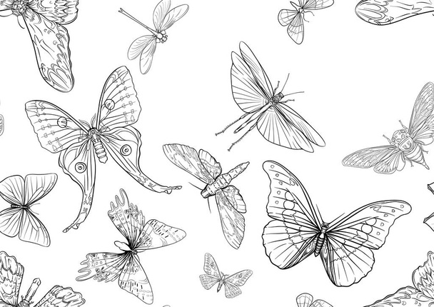 Set of insects: beetles, butterflies, moths and dragonflies. Etymologists set. Seamless pattern, background. Outline vector illustration - Вектор,изображение