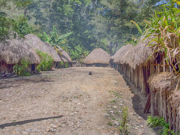 Wamena, Indonesia - January 23, 2015: Cottage covered with dry leaves of banana in the Dani tribe village.  Also spelled Ndani. Dani tribe home in Baliem Valley, West Papua - Foto, Imagem