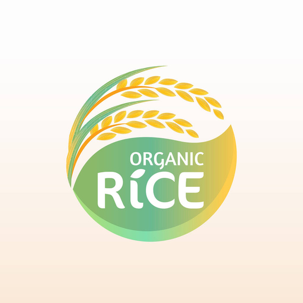 riz paddy premium biologique produit naturel bannière logo vectoriel design - Vecteur, image