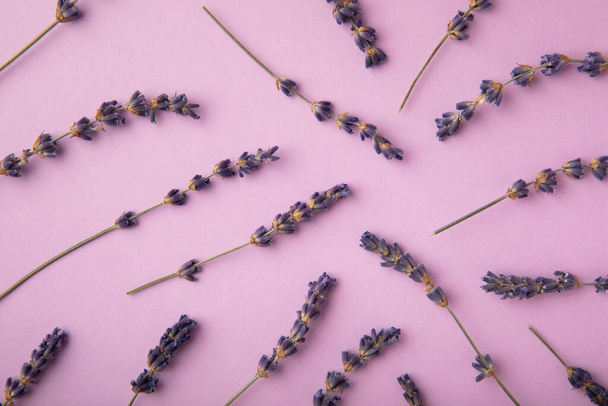 Lavender flowers on purple background. Flat layout. Fragrant flowers. Holiday concept. Summer flowers. - Fotó, kép
