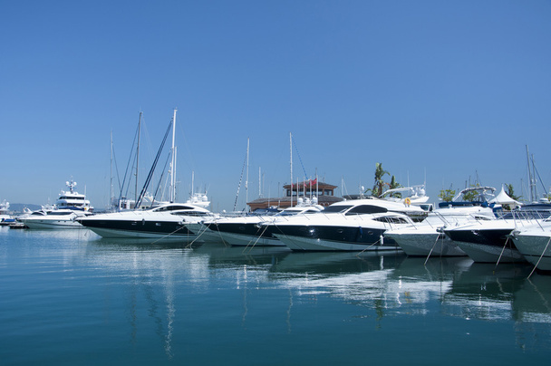 A line of cruisers berthed in Gibraltar marina - Photo, Image
