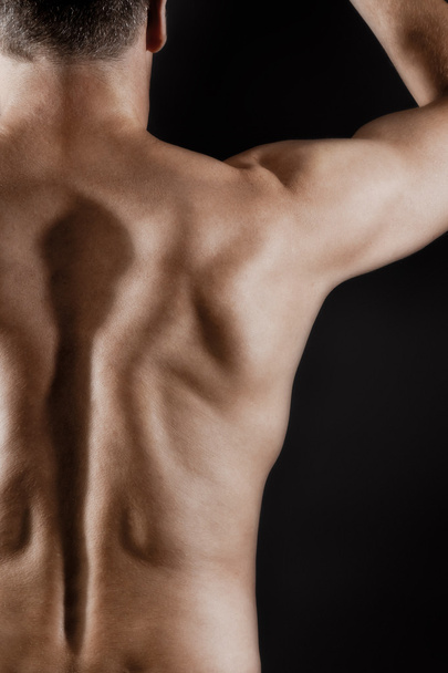 costas masculinas
 - Foto, Imagem