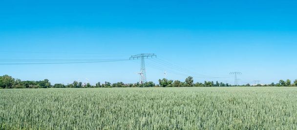 Panoramablick über eine wunderschöne Weizenlandschaft mit Windrädern zur Erzeugung grüner Energie und Hochspannungsleitungsmasten in Deutschland, Sommer, an einem sonnigen Tag und blauem Himmel - Foto, Bild