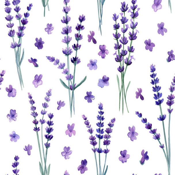 Lavender flowers seamless pattern. Watercolor hand drawing botanical illustration. Vintage flowers,. High quality illustration - Foto, afbeelding