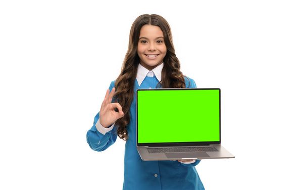 cheerful child presenting product. ok. school blog on computer. kid on video lesson. teen girl show laptop presentation. webinar at online education. back to school. modern communication. copy space. - 写真・画像