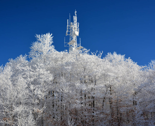 Winterlandschap na een sneeuwstorm, oostelijk dorp, Quebec, Canada - Foto, afbeelding