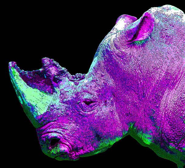 Rhinoceros sign illustrate pop-art background icon with color spots - Фото, зображення