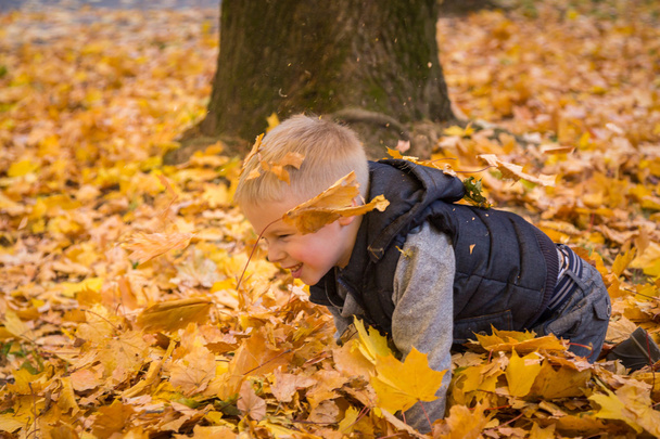 Niño jugando con hojas de otoño
 - Foto, imagen